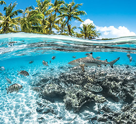 Tahiti lifestyle cruise - Fakarava