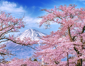 Japan gay cruise - Mt Fuji