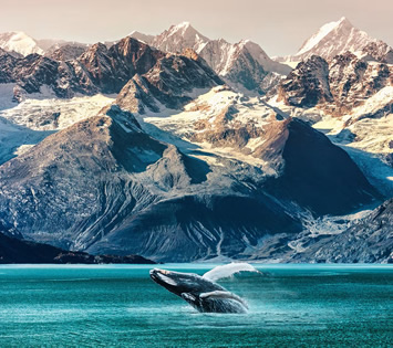 Alaska Gay Group Cruise 2027