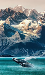 Gay Alaska Cruise 2027