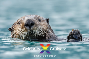 Celebrity Alaska gay cruise