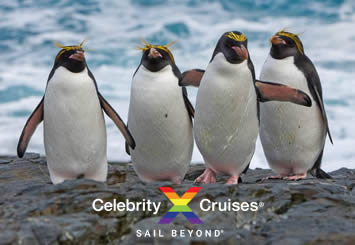 Celebrity Antarctica gay cruise penguins