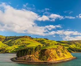 New Zealand gay cruise - Dunedin