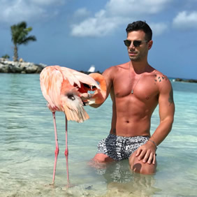 Aruba gay cruise