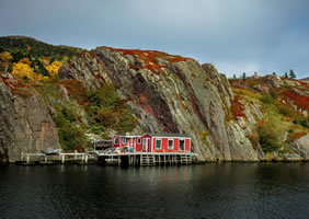 Canada gay cruise - Newfoundland