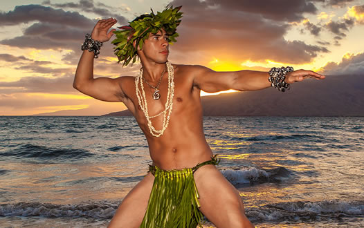 Hawaii Gay Cruise 2024