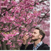 Japan Cherry blossom gay cruise 2024