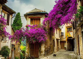 Provence, France gay cruise