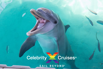 Western Caribbean gay cruise 2022
