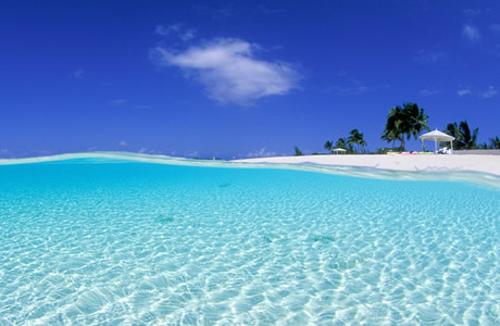 Bahamas Nude Gay Sailing Cruise - Happy Gay Travel - Saltyboys