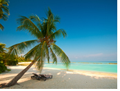 Bahamas nude gay sailing cruise