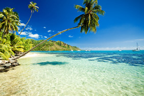 Brazil gay sailing cruise