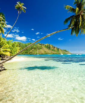 Brazil Gay Sailing Cruise