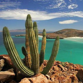 Mexico Baja La Paz Gay sailing