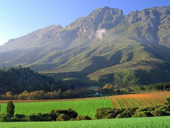 Gay tour to Cape Wine region
