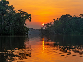 Amazon sunset