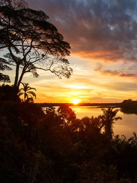 Gay adventure Amazon cruise