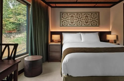 Pure Amazon Single Cabin