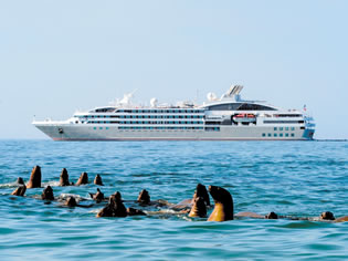 Antarctica adventure gay cruise