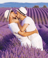 Provence France Gay Cruise