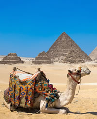 Egypt Luxury Gay Cruise 2026