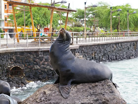 Galapagos gay trip