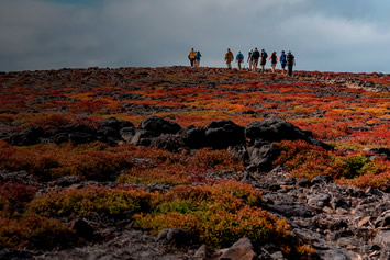 Galapagos walks