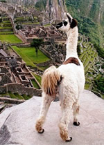 Gay tour to Machu Picchu