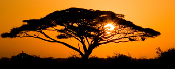 Exclusively gay tour to South Africa