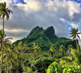 Raiatea gay cruise