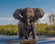 Africa Gay Adventure Cruise