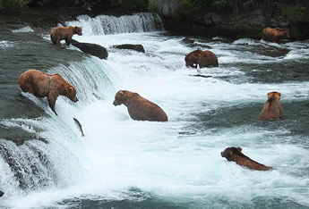 Olivia lesbian Alaska cruise