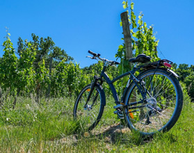 Cussac Fort Medoc biking