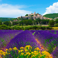 Provence France Lesbian Cruise 2022