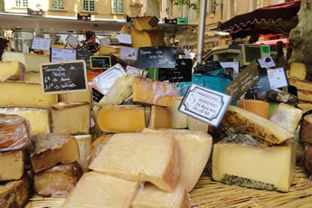 France lesbian cruise - cheese tasting