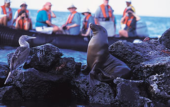 Galapagos Islands lesbian cruise