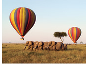 Masai Mara Hot Air Baloon Safari