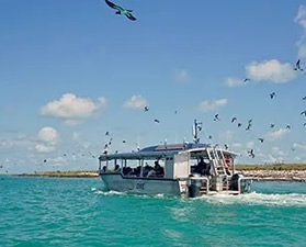 Australia lesbian adventure cruise - Lacepede Islands