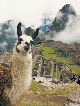 All-lesbian Machu Picchu adventure tour