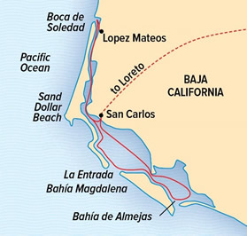 Magdalena Bay lesbian adventure cruise map