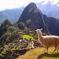 Machu Picchu All-Lesbian Adventure Tour