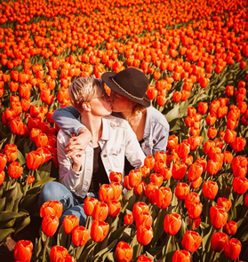 Lesbian Holland cruise