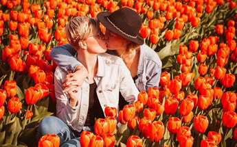 Holland tulips lesbian cruise