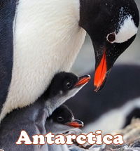 Antarctica Luxury Gay Cruise 2027
