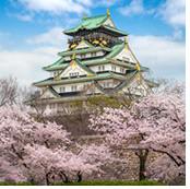 Japan Cherry Blossom Gay Cruise
