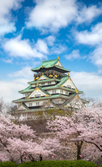 Japan Luxury Gay Cruise 2028