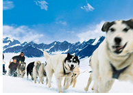 Exclusively gay Alaska cruise 2019