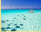 RSVP Caribbean gay cruise 2020 - Georgetown, Grand Cayman