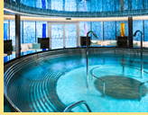 Nieuw Statendam Greenhouse Spa