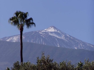 Gay Tenerife